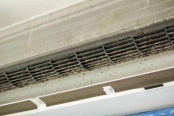 Best HVAC System Cleaning  in Philmont, NY